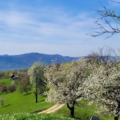 краєвиди Закарпаття
